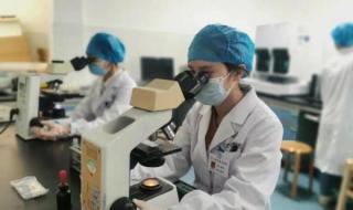 恐龙血型是什么血型 恐龙血型是什么血型